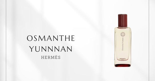 çanoma/サノマ 8-17 松風　玉虫塗限定ボトル 30ml çanoma/サノマ 8-17 松風 玉虫塗限定ボトル 30ml 香水