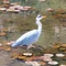 山下ユウリ