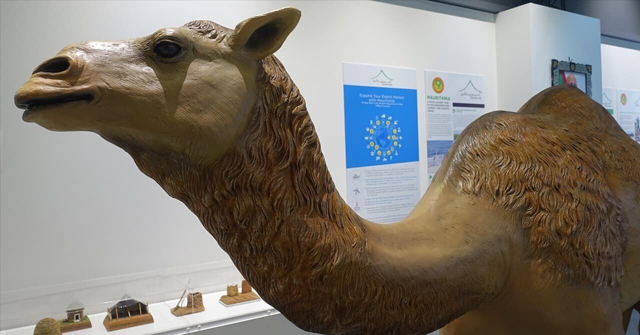 万博　EXPO2025　モーリタニア館　ピンバッジ　モーリタニアパビリオン 大阪・関西万博のモーリタニアパビリオン（コモンズB）をレビュー｜お