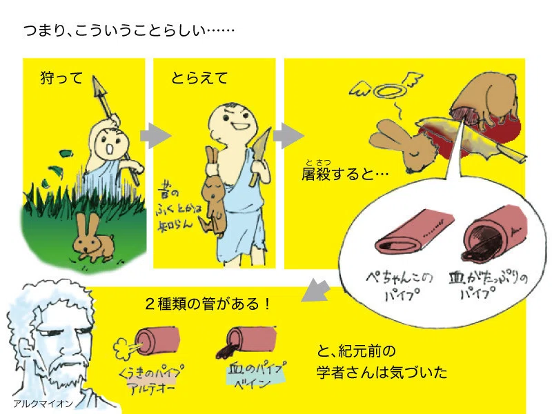 血液の循環がわかるまで まつもと じょう Note