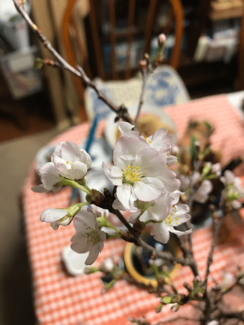 さよなら東急東横店 みねのもみぢば Note