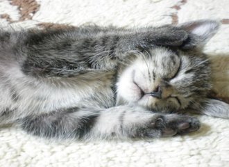 長めのいい部屋 の新着タグ記事一覧 Note つくる つながる とどける