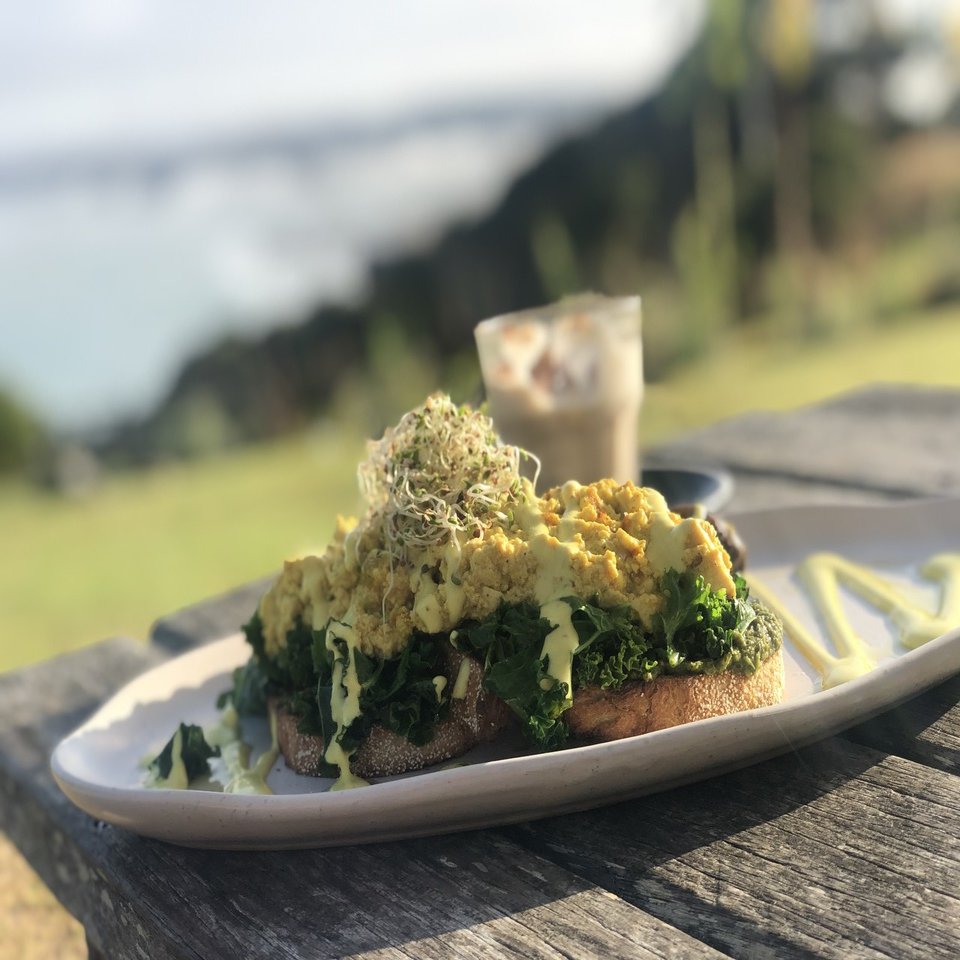 Nz旅総括 前編 何十年と捨てられなかったパラダイムを いとも簡単に捨てさせてくれたニュージーランドでの 人生のおやすみ を振り返る オア明奈 人生を祝うプロデューサー Note