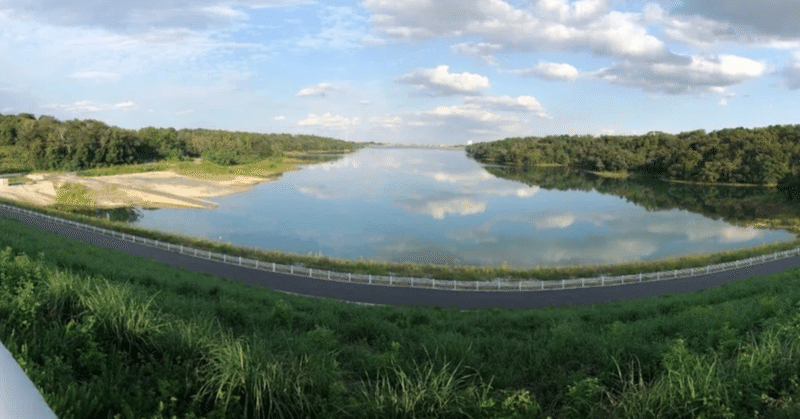 多摩湖に秋がやってきた