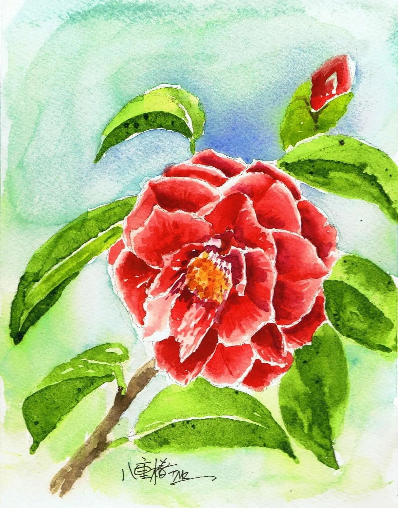 一日一絵 椿 砂漠渓 Note 一日一絵 椿 砂漠渓 Note