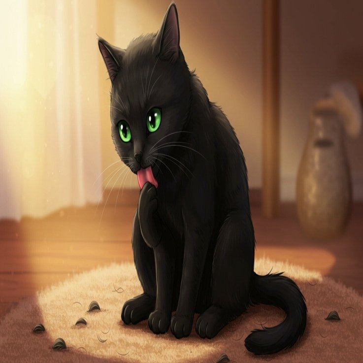 毛づくろい大好きゴンちゃんと、毛玉ケアの毎日」｜Tokutai