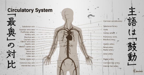 平沢進 トロンプ・ロレイユ 佐藤あんこ 平沢進 トロンプ・ロレイユ