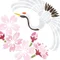 ササメユキ