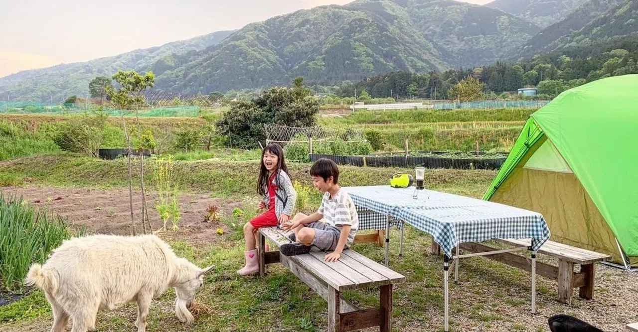 庭キャンプ』のすすめ｜LIVING DESIGN