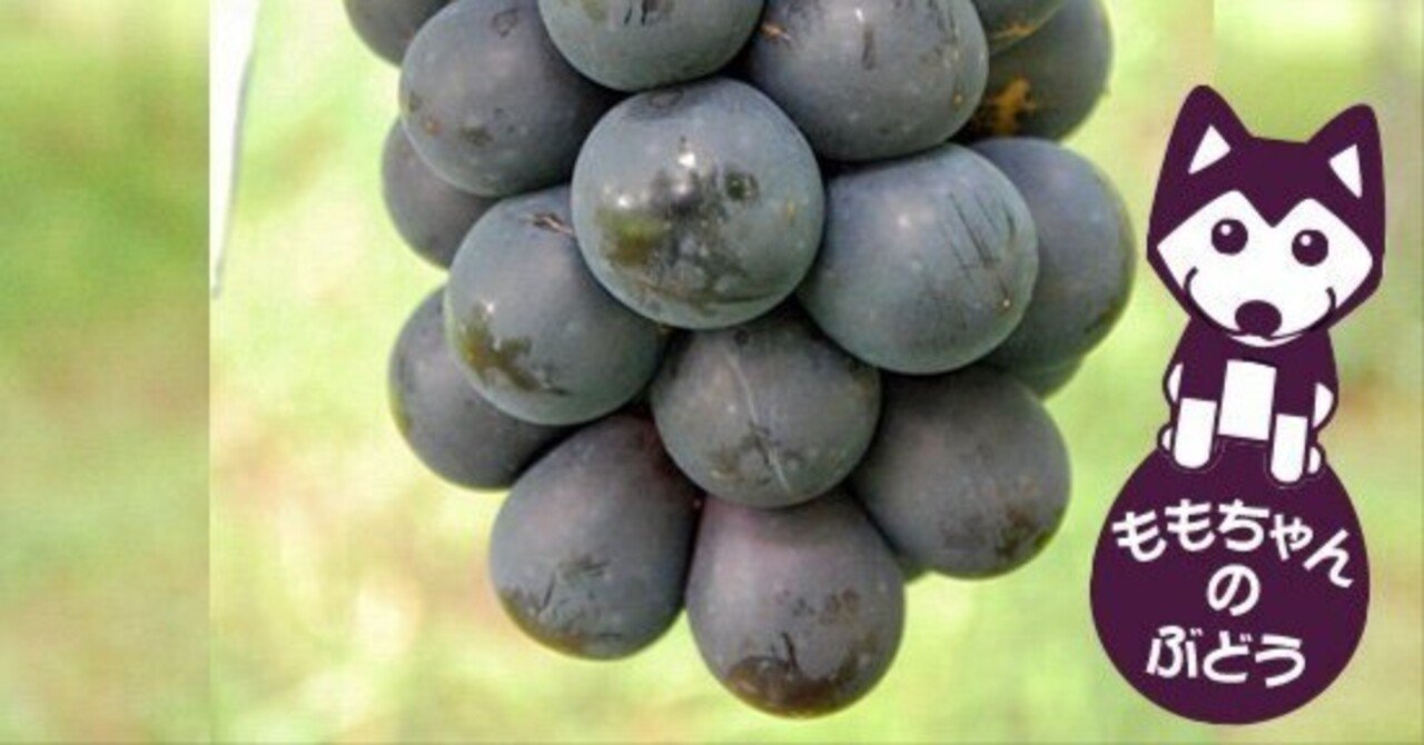 ブドウにアルコール？｜naru