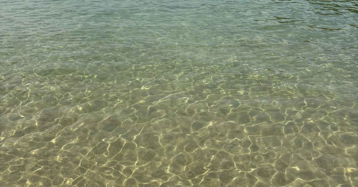 [Memo] Things I was able to do this summer｜mmk | 20代OL