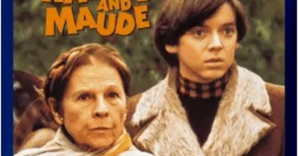 レア希少DVD 名画 典子は今 松山善三監督 主演辻典子白井のり子