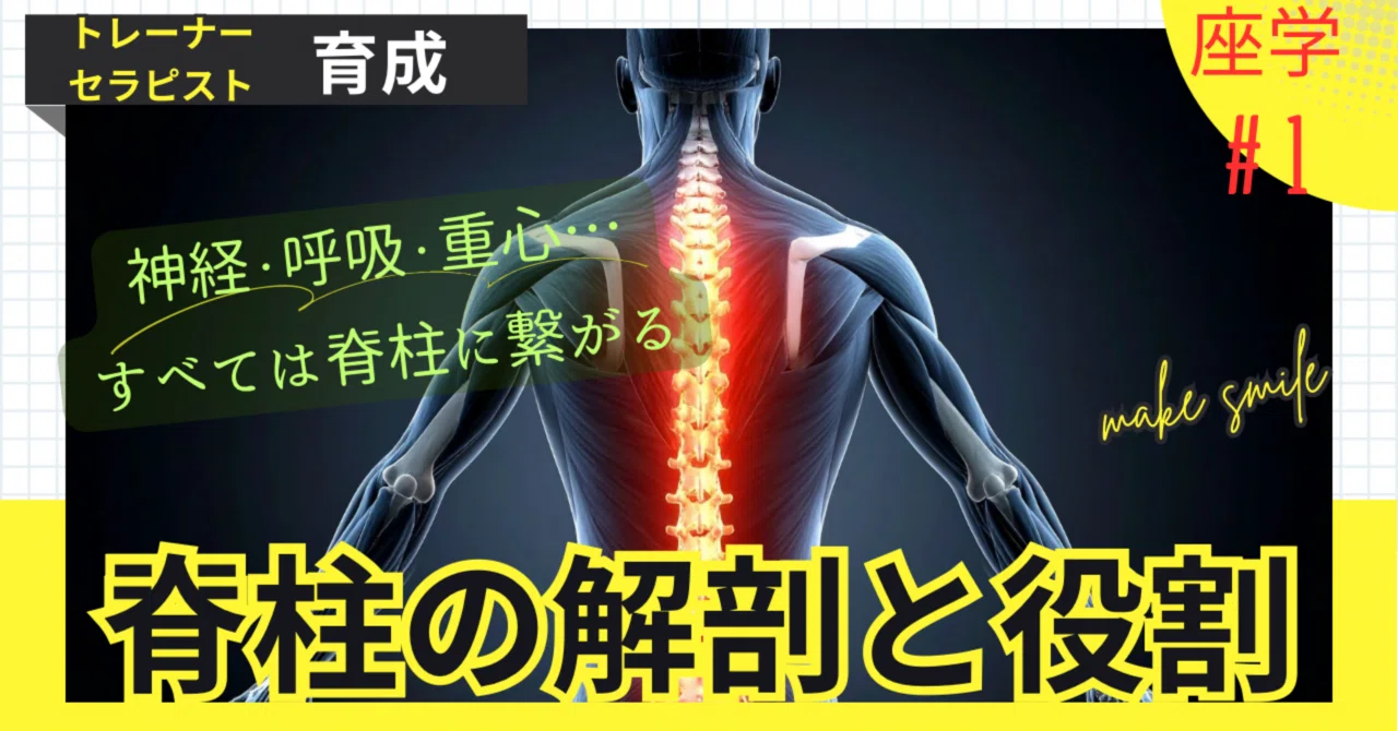 The Relationship Between the Spine and Movement｜HEMMY