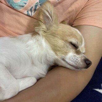 【授業料免除】東京大学生物科学専攻過去問6 年分　私の解答集（H25-H30） 数学解説】2020年度・酪農学園大学・獣医学類・一般入試（2020年