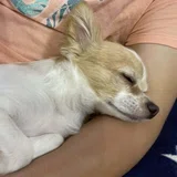 東京大学大学院 農学生命科学研究科 応用生命化学・工学専攻 院試 解答 東京大学大学院 農学生命科学研究科 応用生命化学・工学専攻 院試 解答