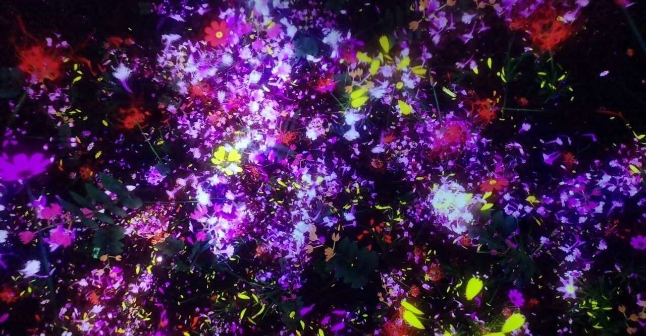 Bump Of Chicken R I P の意味を11年ぶりに考えた 橙 Note