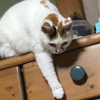 縞模様のパジャマの少年 はラストが鬱すぎた Rei Note
