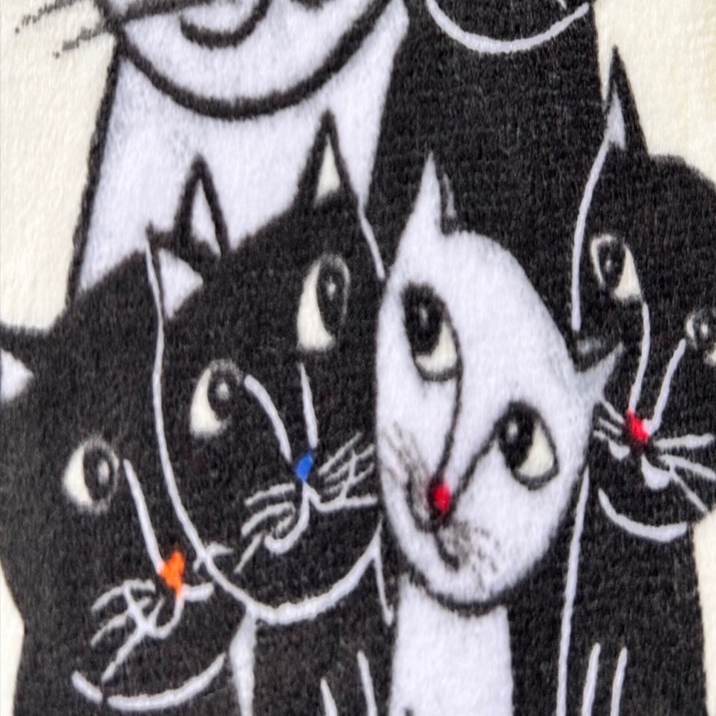 サポーターズクラブ特典 季節ごとにグッズをプレゼント 今回はタオル