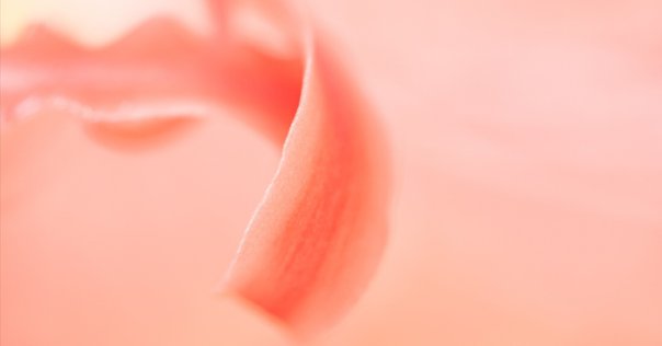 大幅値下げ‼️【希少】ミナミコアリクイの剥製　美品 山水 Amazon.co.jp: 山真製鋸(Y'sGOD JAPAN) 下地センサー