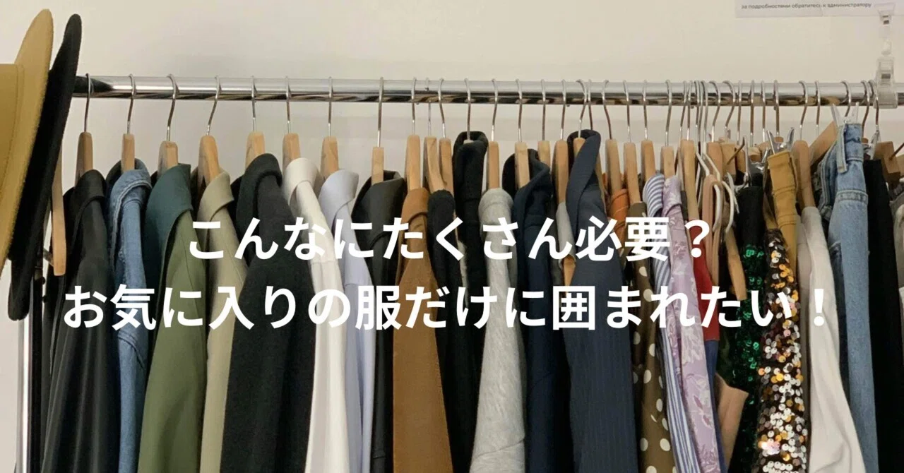 捨て活記録：服であふれる我が家と洗濯物と「本当に着たい服」の見極め 
