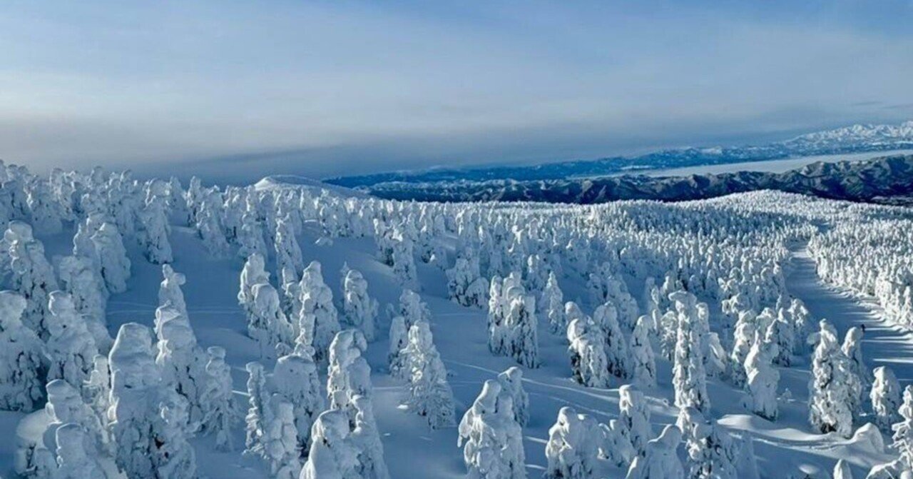 深山の雪 深雪花 赤 | 岩の原葡萄園｜日本ワインを探す｜JWINE 公式サイト