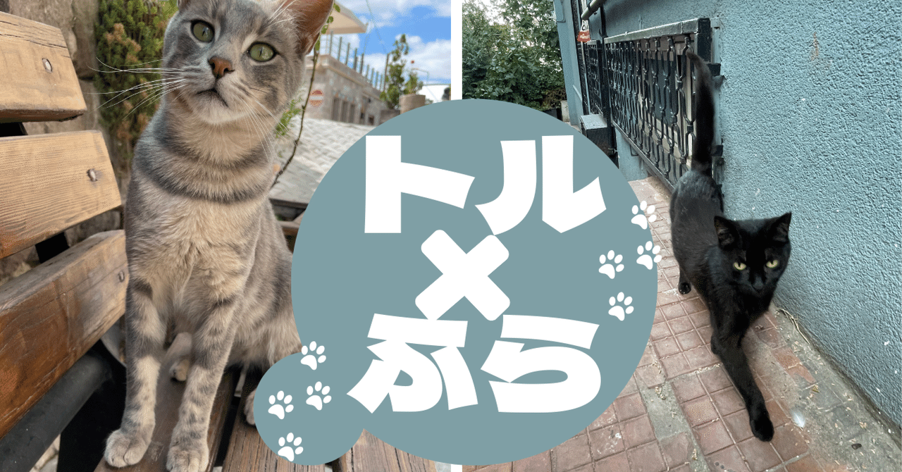 大東俊介/7days backpacker イスタンブール&カッパドキア 大東俊介/7days backpacker イスタンブール&カッパドキア Amazon