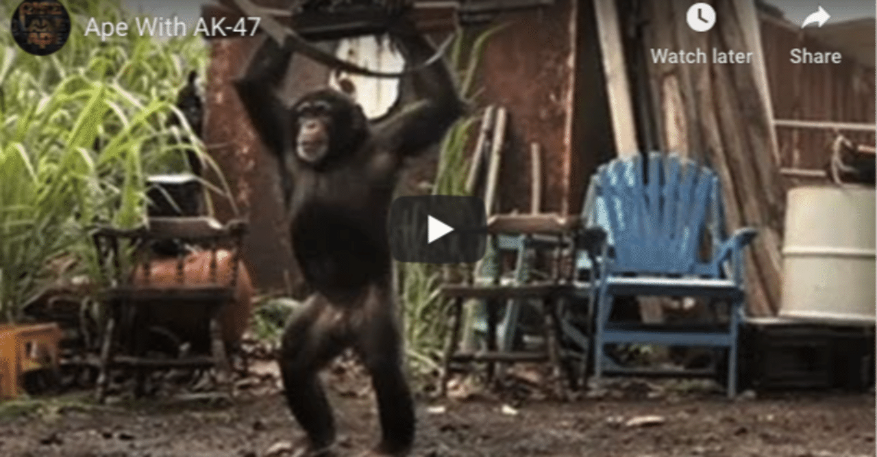 銃を手にした猿から学ぶ英語｜黒田 尚之