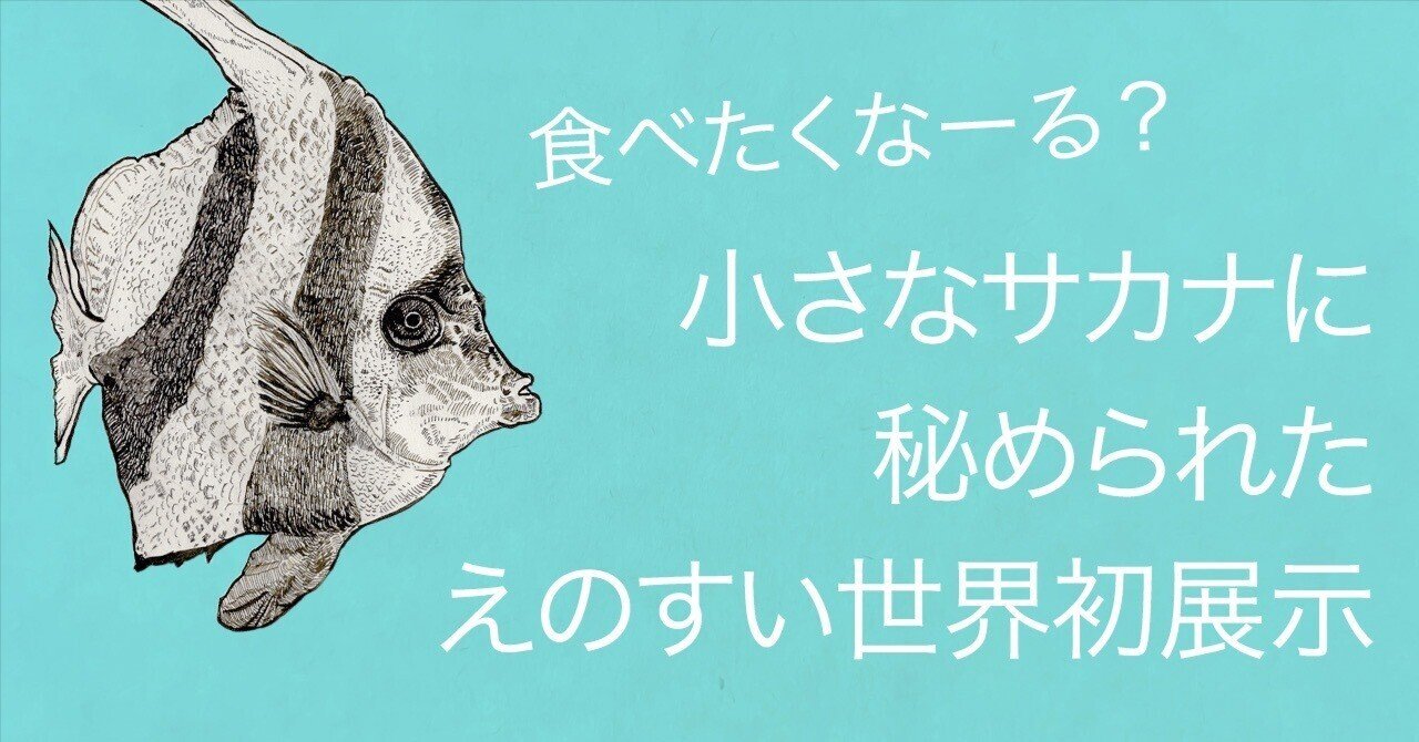 絶景！オーシャンビューの新江ノ島水族館｜津幹 みむ＊動物たちを描く人