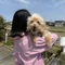 あんなぷるな
