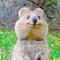 クアッカ｜仕事お金メンタル