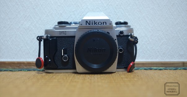 Nikon F100 フィルムカメラ 28-80mmレンズ Nikon F100／コンパクトなボディに高性能を詰め込んだF5の弟分