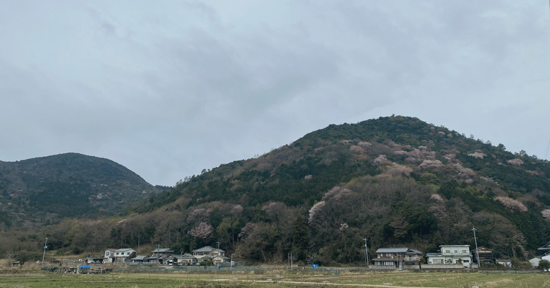 持続可能な生活