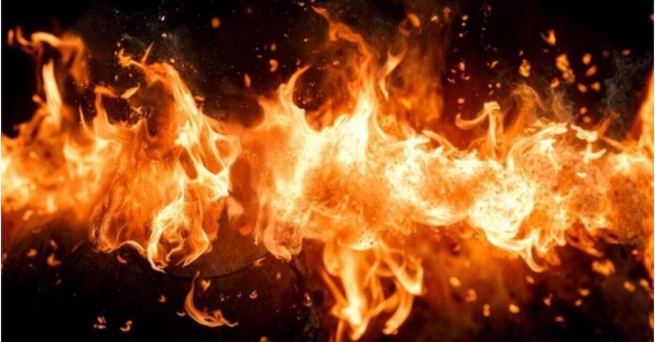 我々の祖先は料理を覚えたことで知性が発達した？ （岩佐文夫