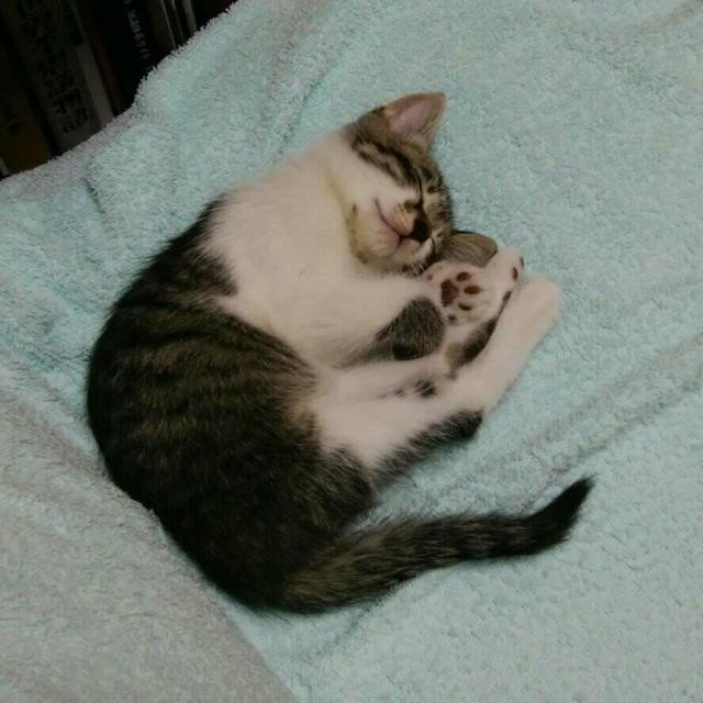 画像2