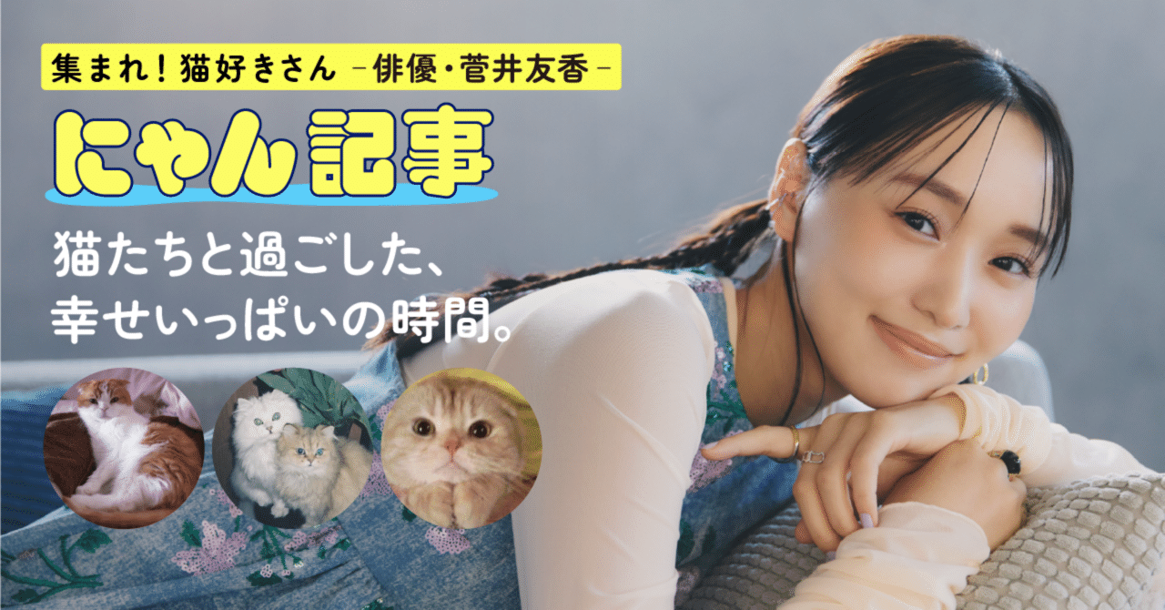 にしにゃんさん専用 関西の猫好きさん専用 関西の猫好きさん専用