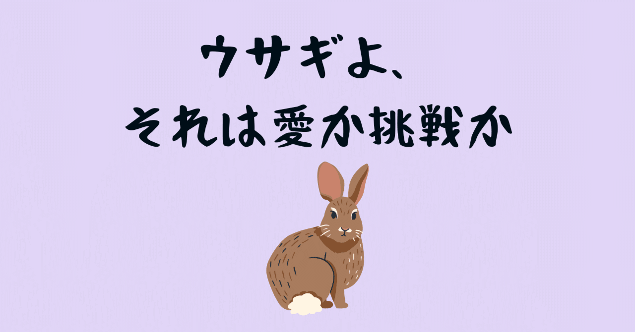 ウサギよ、それは愛か挑戦か｜まつむらnote