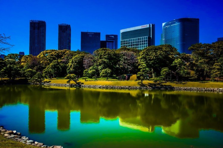 @Hama-rikyuu Gardens, #Tokyo.   #写真好きな人と繋がりたい　#浜離宮恩賜庭園　#池