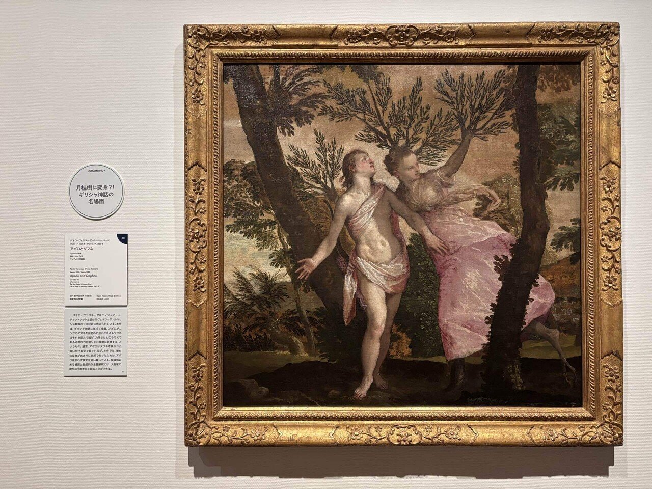 どこ見る？どう見る？西洋絵画！ールネサンスから印象派までー 京都市