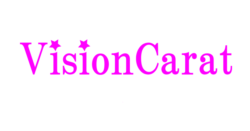 株式会社VisionCaratを設立しました