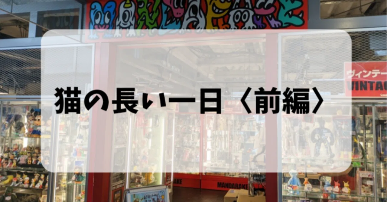 秋葉原】まんだらけ(CoCoo / コンプレックス2)で買取をお願いした結果