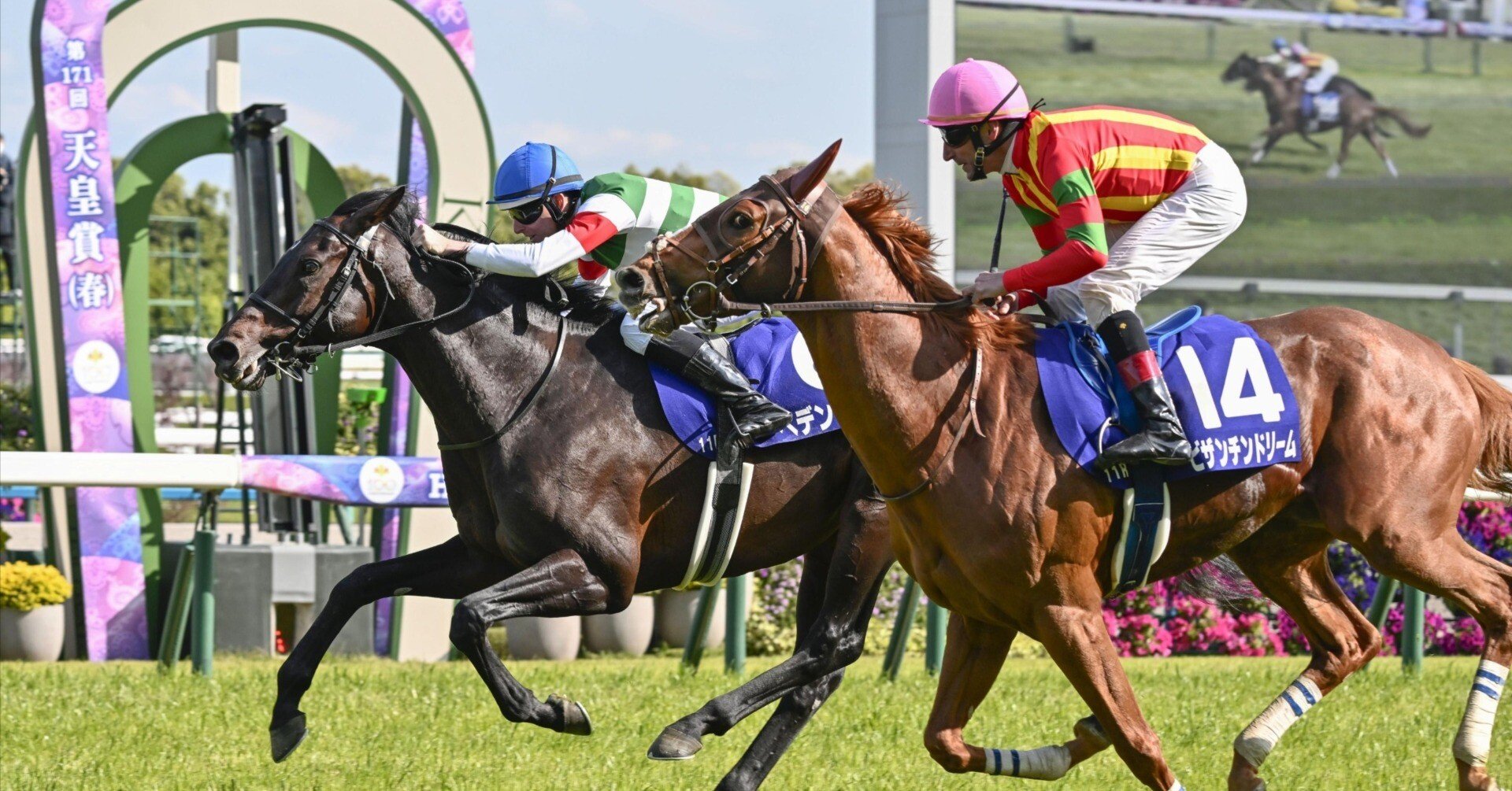 2025👑10👑4《土》【👑特S🐴激アツ万券勝負レース👑】🔥京都競馬