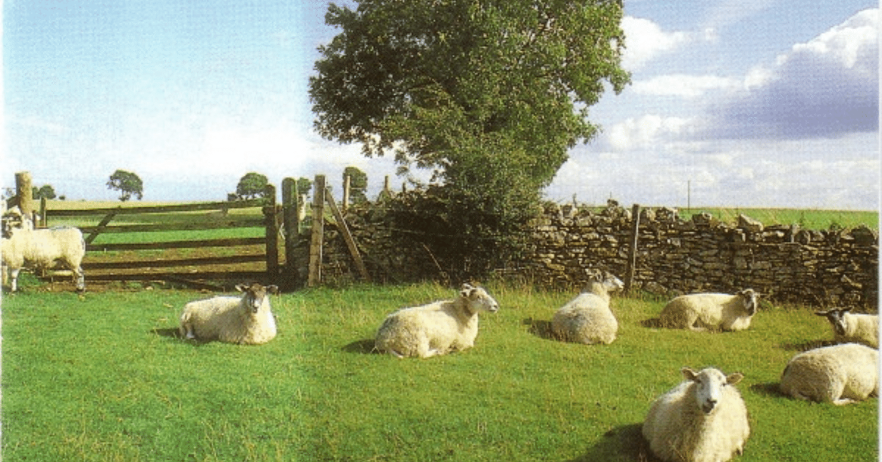 The KLF / CHILL OUT LP レコード 名盤 Ambient KLF – Chill Out