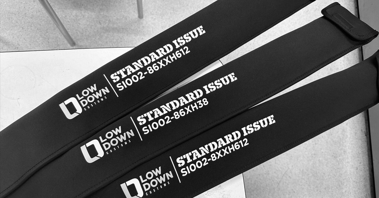 カリフォルニア発！本格スイムベイトロッド「Low Down Customs