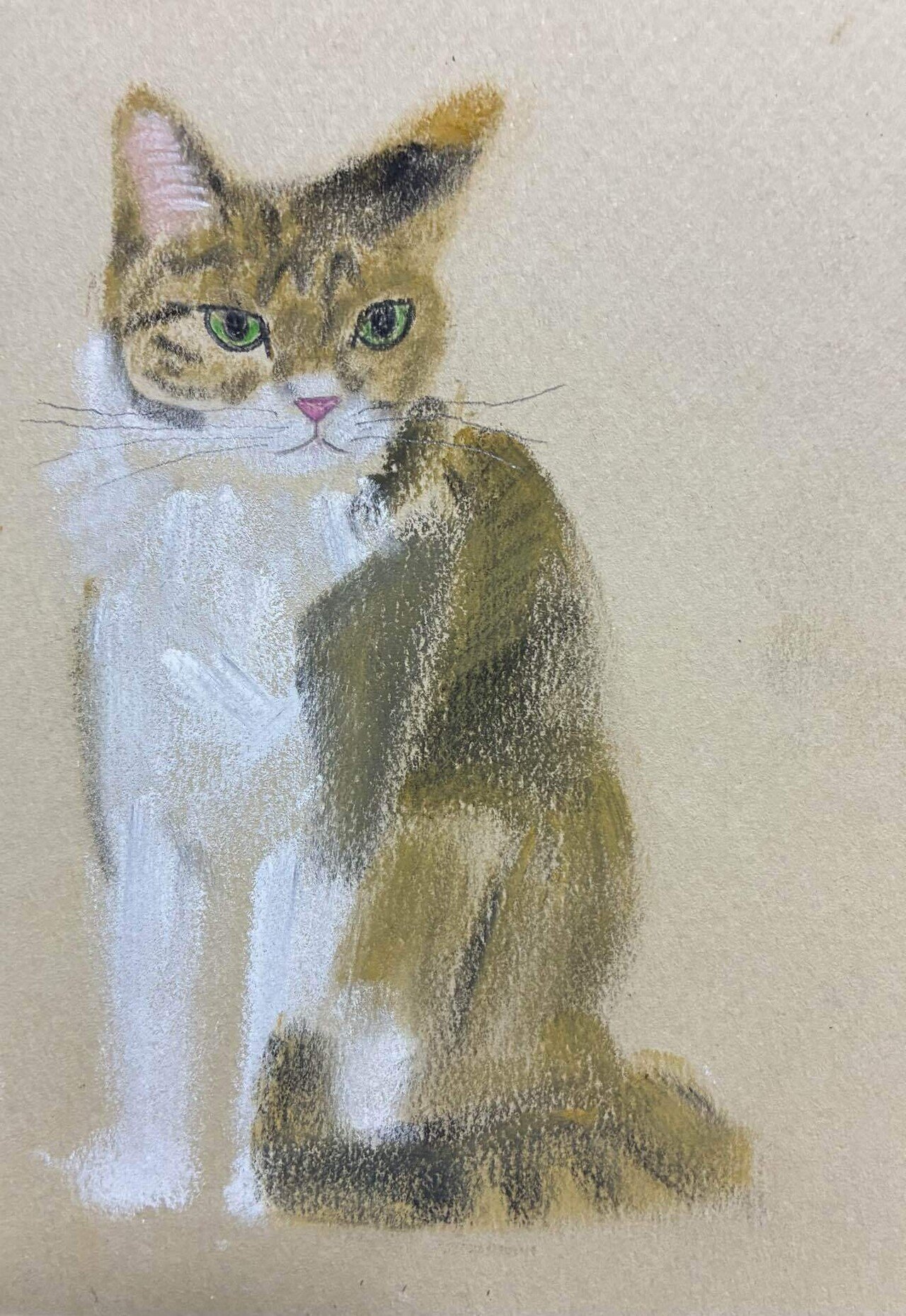 猫座りしている猫のパステル画です。｜まる