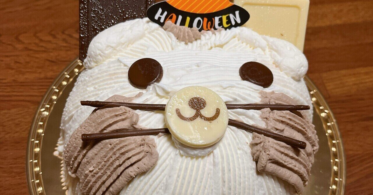 Happy birthday ユーハン｜きゆ☔️