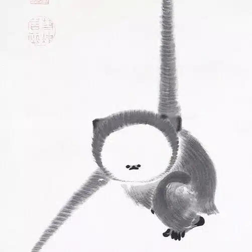 松浦パグ