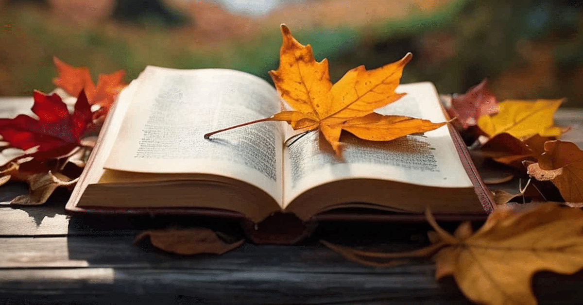 わかめ　英語絵本まとめ売り　13点 わかめ 英語絵本まとめ売り 13点 わかめ 英語絵本まとめ売り 13