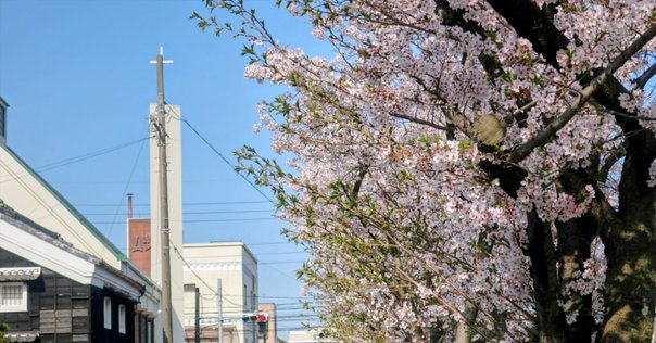 戦争中、中国大陸に木を植えた緑の連隊長・吉松喜三～日本が世界に誇る