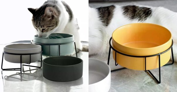 ペットドライルーム ドライヤー Totoro ball 猫用 ドライハウス Amazon | [業界初82L大容量]Totoro ball ペットドライルーム