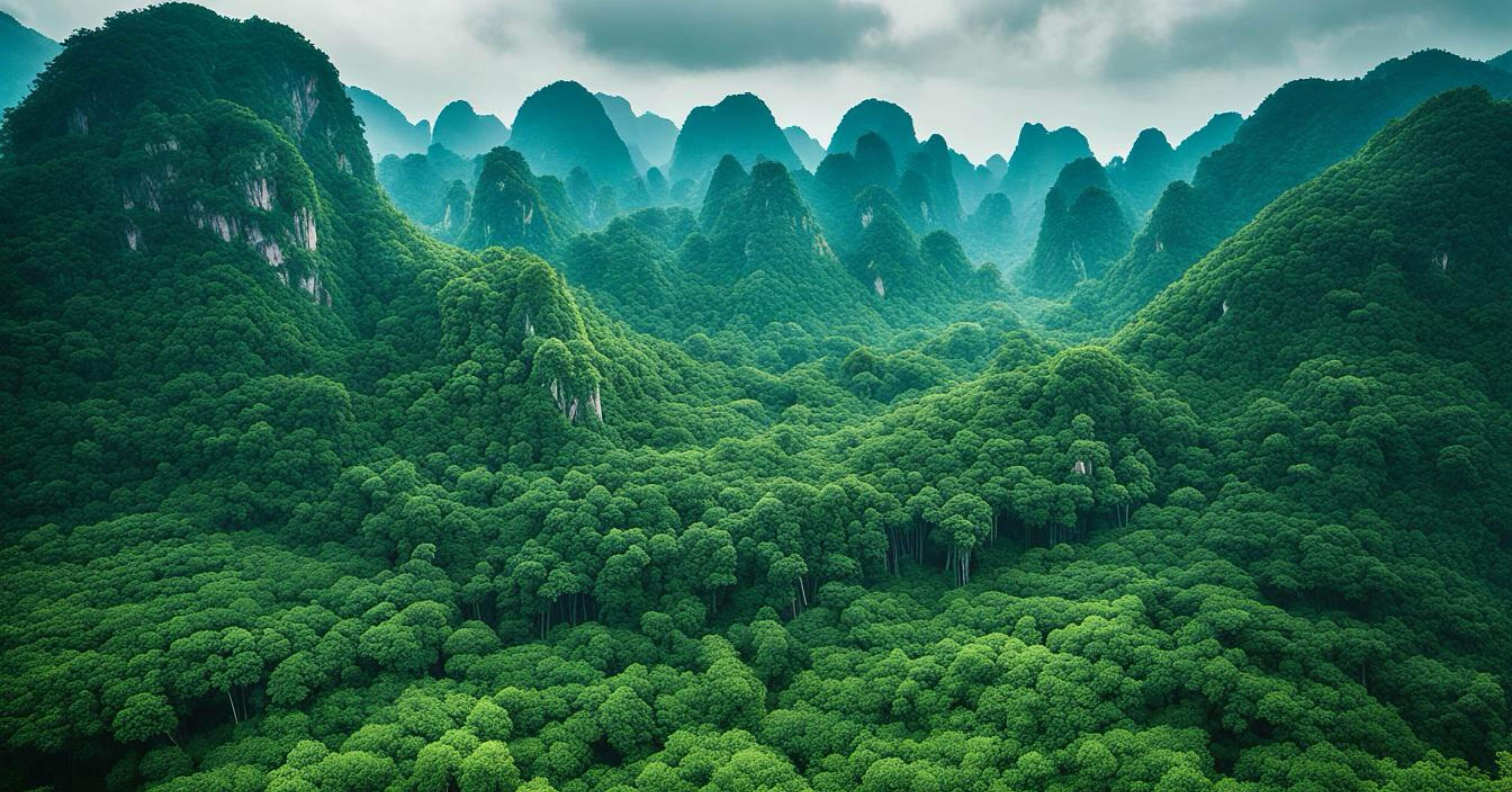 ベトナムの森から伽羅へ──人類の身体に刻まれた沈香の記憶｜宮内政延